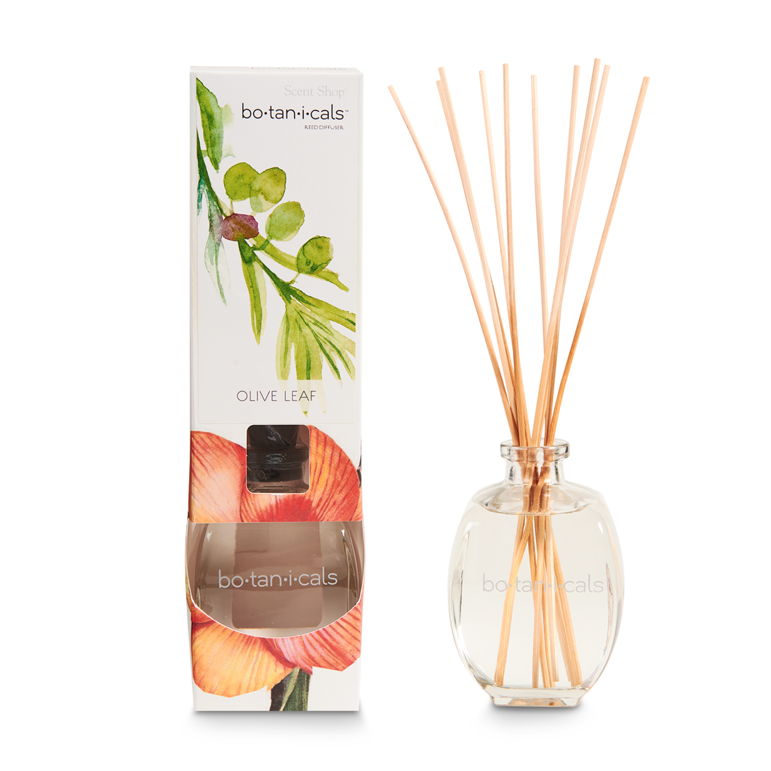 Reed Diffuser - Olive Leaf - Scent Shop